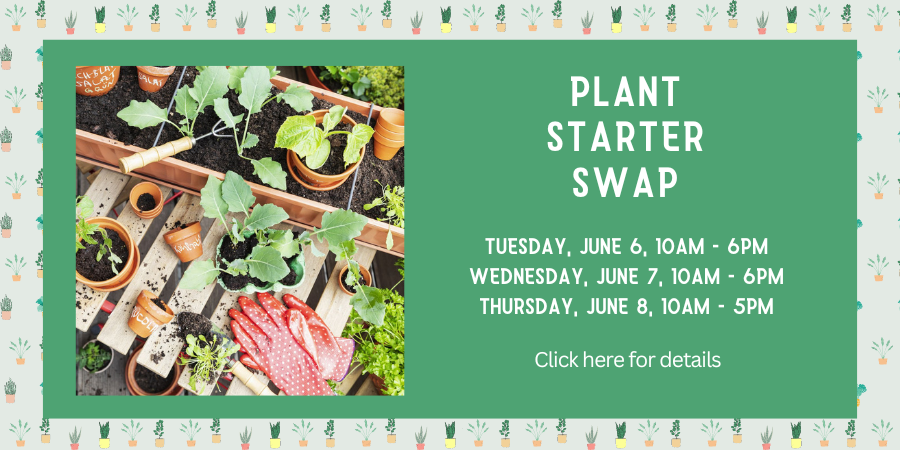 [IN PERSON] Plant Starter Swap TUESDAY, JUNE 6 - Thursday, June 8, 10am-5pm. Click here for details.
