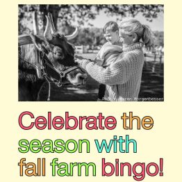 Fall Family Farm Bingo Graphic
