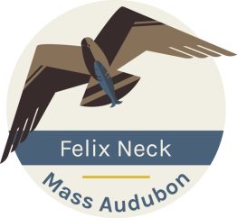 Creature Feature with Felix Neck Graphic